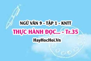 Soạn bài Thực hành đọc: Ngọc nữ về tay chân chủ trang 35 Ngữ văn lớp 9 tập 1 Kết nối tri thức